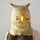 Owl Head Mask Rubber Latex Animal Costume Full head Mask Halloween Costume Fancy