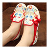 Starry Old Beijing Embroidered Cloth Shoes