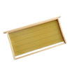 Apis Mellifera Apis Cerena Nest Frame Comb Foundation