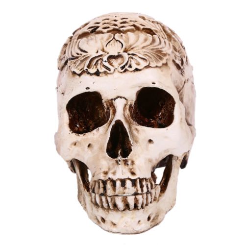 Engraved Flower Top Grade Skull Statue Human Skeleton Halloween