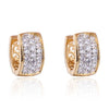 Fresh Earrings 18K Gold Platinum Galvanized   yellow