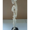 17 Inch 45cm Human Skeleton Model Great Teaching Aid Lifelike Bone Color