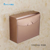 Stainless Steel Sanitary Toilet Tissue Carton BOX Wall Mounted K30 DRAWING GOLD