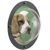 Pet Peek Fence Window Dome Insert Clear Outside Landscape Viewer for Dogs Cats