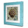 Mediterranean Style Wall Hanging Decoration   shell