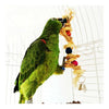 Bird Parrot Natural Straw Snap Scratch Toy