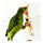 Bird Parrot Natural Straw Snap Scratch Toy