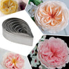 Cake Mold Cutter Set Rose Flower