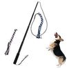 Flexible Tease Stick Dog Cat Training Stick  blue   L