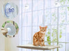 Window Mount Cat Bed Pet Hammock Pet Home Suction Cup Resting Seat