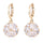 18K Gold Galvanized Zircon Earrings