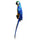 Mediterranean Home Decoration Parrot Wall Hanging  big   blue