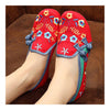 Starry Old Beijing Embroidered Cloth Shoes