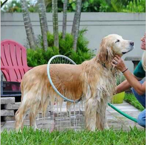 Pet 360 Adjustable Foldable Dog Shower Sprayer Bathing Garden Size L