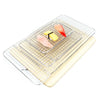 Acier Inoxydable Huile Barbecue Grille Rectangle Grande Taille 475 270mm