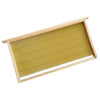 Apis Mellifera Apis Cerena Nest Frame Comb Foundation