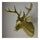 Plastic Deer Head Wall Hanging Decoration golden