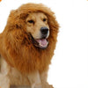 Pet Supplies exclusive pet dog cat wig wig Lionhead set dog collar