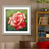 The new 5D cube crystal diamond full diamond diamond DIY painting 7048 rose