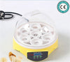 Mini Incubator 7 Egg Capacity Automatic Digital Chicken Duck Bird Hatch Tool