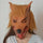 Wolf Head Mask Rubber Latex Animal Costume Full head Mask Halloween Costume Fanc