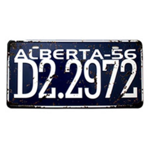 America Europe France Car Plate Bar KTV Wall Hanging Decoration   21