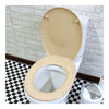 Resin No Slow Descent Toilet Seat    M02 white