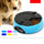 6 Meal Timed Auto Pet Feeder Dog Cat Digital Display Time-lapse Automatic Tray Pink - Mega Save Wholesale & Retail - 3