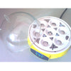 Mini Incubator 7 Egg Capacity Automatic Digital Chicken Duck Bird Hatch Tool - Mega Save Wholesale & Retail - 4