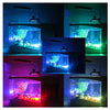 Creative multi-function USB mini aquarium fish tank LED lamp Pen small goldfish bowl Black - Mega Save Wholesale & Retail - 5