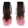 Gradient Ramp Horsetail Wig Lace-up Double Colors   5# - Mega Save Wholesale & Retail
