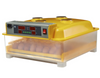 Fully Automatic Turner Digital 48 Eggs Incubator