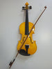 Full 4/4 Maple Spruce with Case Bow Rosin All Gold Color Student Acoustic Violin