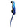 Mediterranean Home Decoration Parrot Wall Hanging  big   blue
