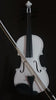Student Acoustic Violin Maple Spruce with Case Bow Rosin White Color