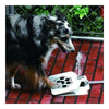 Animal de Compagnie Jouet pour Chien Pulvérisateur Printemps Arroseur Buveur