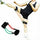 Kick training Elestic Rope Heavy weight training boxing Thai Punch taekwondo