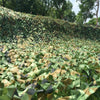 Camouflage Netting Filet NET  Trap Camping Sun Shield  Hunting Shelter jungle
