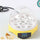 Mini Incubator 7Egg Capacity Automatic Digital Chicken Duck Bird Hatch tool 220V