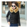 Sount Korean Style Short Down Coat Panda Design Coat   black