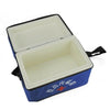 Vaccine Refrigeration Box Bag Portable