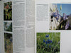 Rare Precious Wildblumen Of China Vol. 2