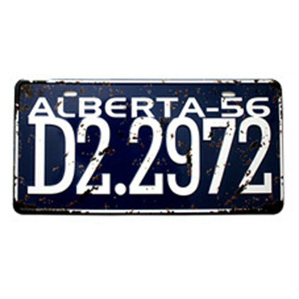 America Europe France Car Plate Bar KTV Wall Hanging Decoration   21