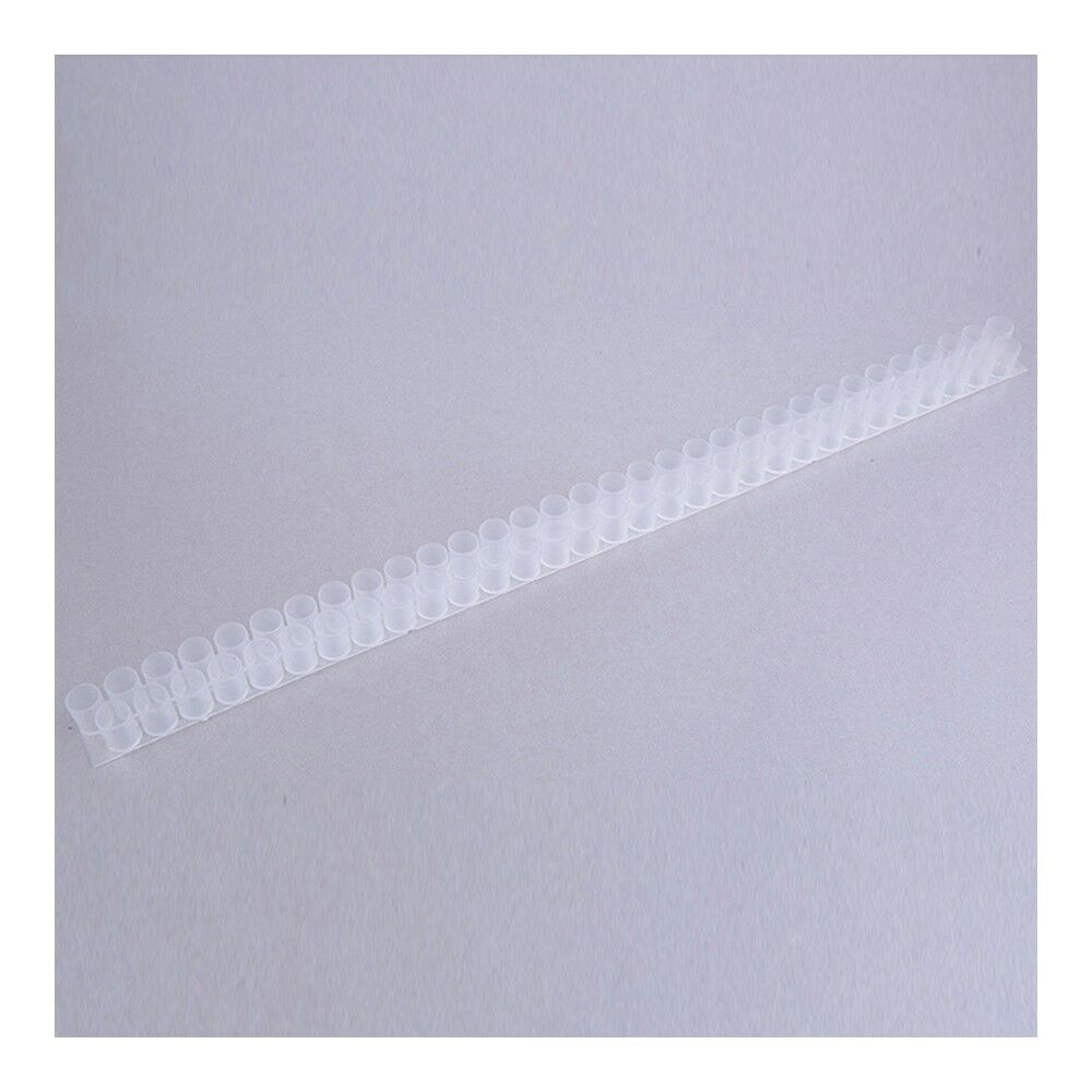 10PCS Royal Jelly Queen Cell Strip Double Row