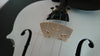 Student Acoustic Violin Size 3/4 Maple Spruce with Case Bow Rosin White Color