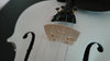 Student Acoustic Violin Full 4/4 Maple Spruce with Case Bow Rosin White Color