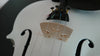 Student Acoustic Violin Size 1/4 Maple Spruce with Case Bow Rosin White Color