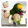 Bird Pet Parrot Toy Loofah Sponge Snap Scratch