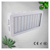 Manufacturers supply 100 * 3W Grow Light, LED grow lights, LED grow lights 110V