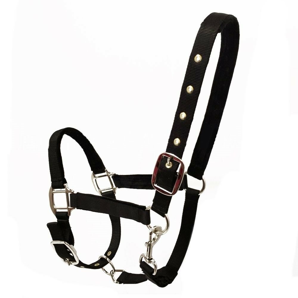 Bridle Headstall Wear-resisting Equestrianism Supplies   black